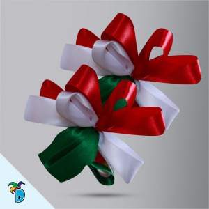 Moño Regional Tricolor